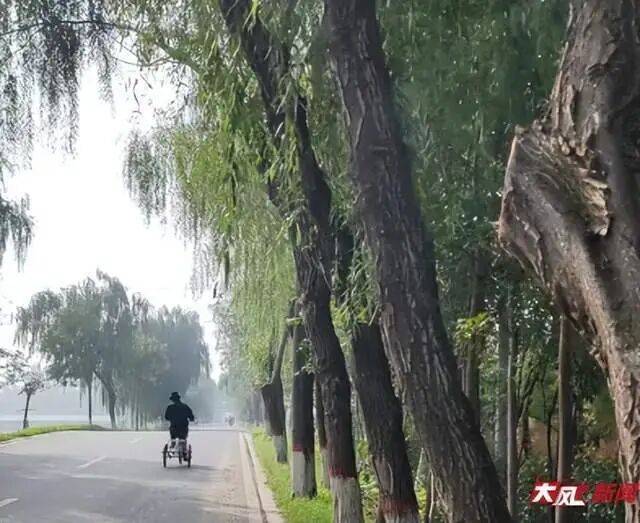 皇冠hga030_陕西兴平56岁女教师骑电动车“撞树枝”身亡皇冠hga030,交警判定担主责,家属提出诸多质疑,多方回应