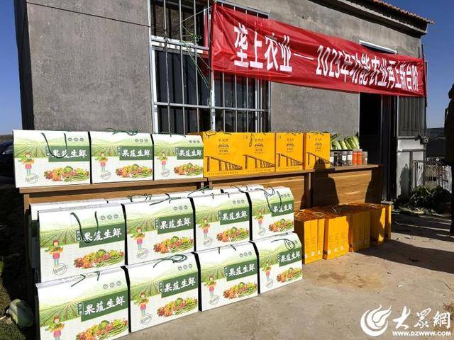 皇冠信用平台出租
_山东青岛：全国首批“板蓝根白菜”喜获丰收皇冠信用平台出租
，正式上市！首批10万棵已被上海采购商“包圆”